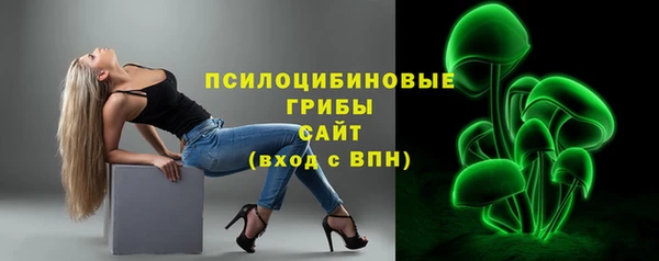прущий лед Алексин
