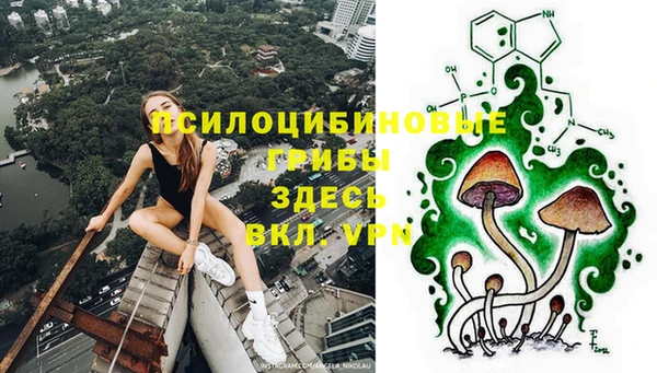 ешки Алзамай